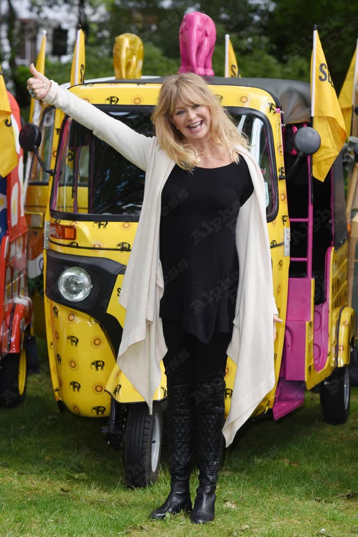Yellow patterned tuk tuk at a charity elephant parade event